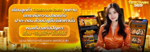 tigerwin369 เว็บตรงฝากถอนออโต้ ไม่มีขั้นต่ำ สมัครใหม่รับโบนัส 100